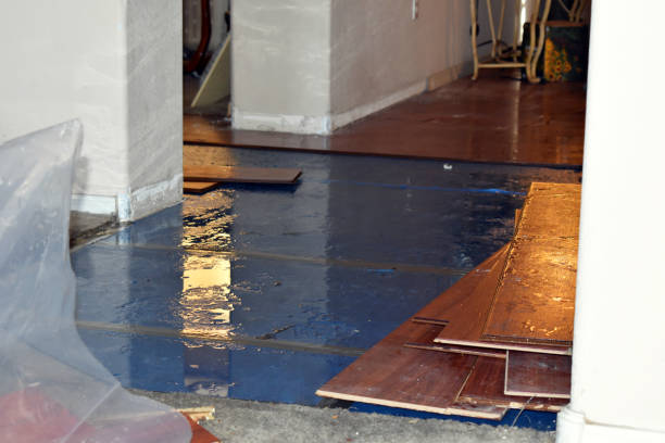 Professional Water Damage Restoration technician working in Lewisville, MN